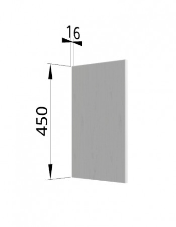 Панель торцевая (для шкафа горизонтального высокого) ВПГ Ройс (Графит софт) в Подтёсово - podtyosovo.mebel54.com | фото